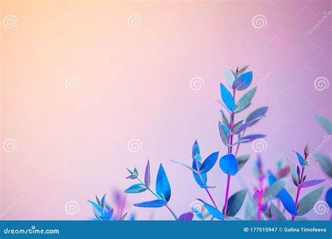 Creative Neon Background With Drops Glowing Abstract Backdrop With