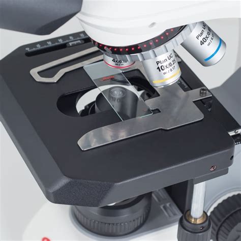 Motic Panthera C Compound Led Microscopes Fisher Scientific