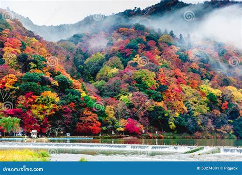 Arashiyama Kyoto Japan Stock Image Image Of Valley 53274391