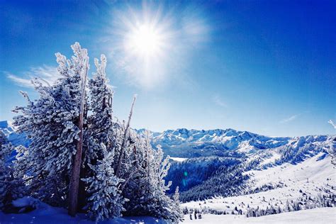 Winter Wonderland in the Sierra Nevada Mountains — Whiskey Tango Globetrot