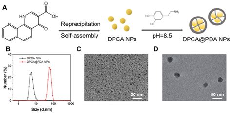 The Synthesis And Characterization Of Dpcapda Nps A The Synthesis