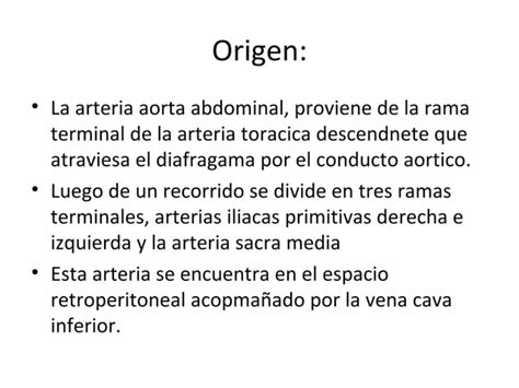 Arteria Aorta Abdominal Ppt