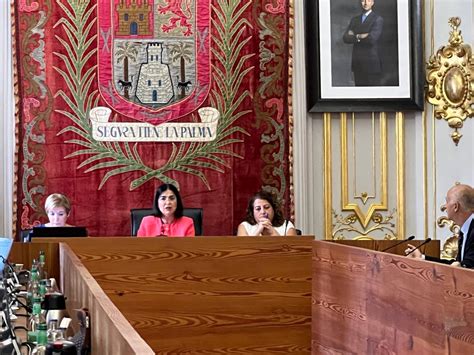 El Pleno Aprueba La Estructura Organizativa Del Nuevo Gobierno