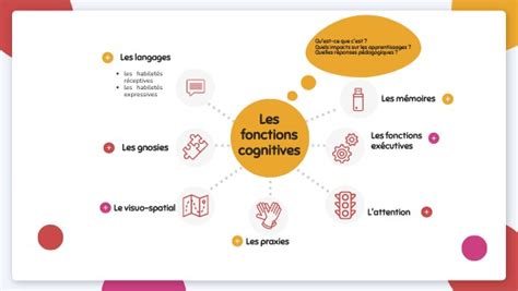 Les Fonctions Cognitives