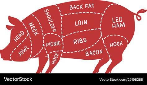 Cuts Meat Pig Pork Butcher Shop Royalty Free Vector Image