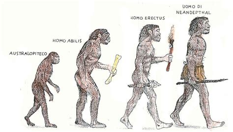 SCOPERTA LA PIU ANTICA IMPRONTA FOSSILE DI HOMO ERECTUS Daniele