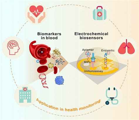 Electrochemical Biosensors For Whole Blood Analysis Recent Progress