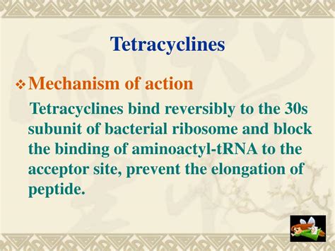 Ppt Chapter 42 Tetracyclines And Chloramphenicol Powerpoint