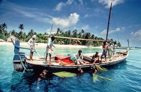 Local Fishermen Catching Bait 1980s Maldives