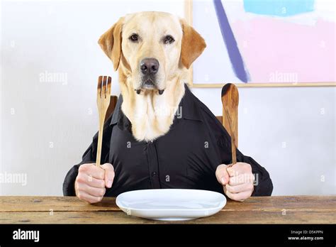 Dogs With Human Hands