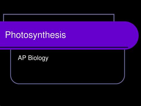 Photosynthesis Ap Biology Ppt Download