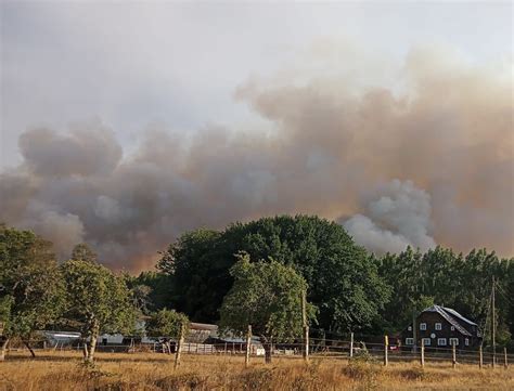 Declaran Alerta Roja Para La Comuna De Paillaco Por Incendio Forestal