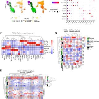 Scrna Seq Reveals Distinct Myeloid And Dendritic Cell Subsets A Merged