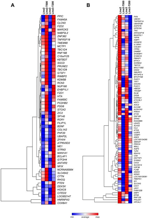 Heat Maps And Hierarchical Clustering Of Genes In Gene List H The Heat