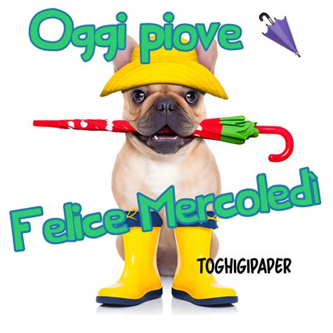 Buon Mercoledì pioggia ToghigiPaper