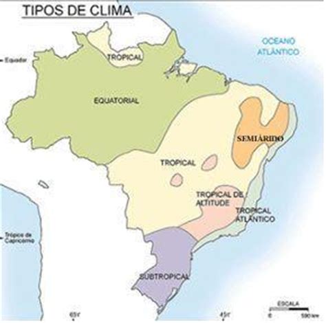 Clima Temperado Caracter Sticas Tipos E Localiza O