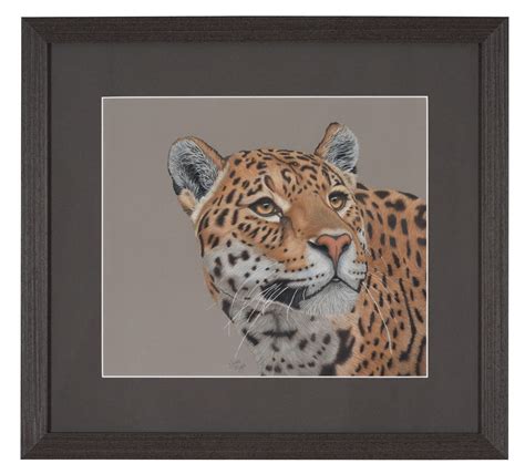 Original "Amber Eyed Jaguar" Pencil Drawing – Jess Myers Art