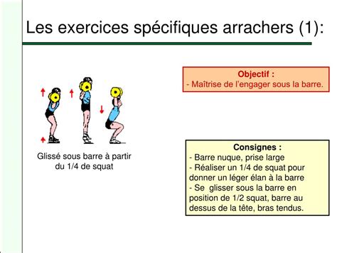 Ppt Les Exercices Fondamentaux De La Musculation Powerpoint