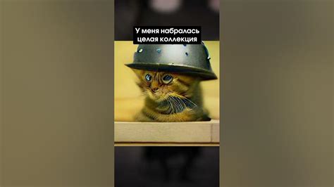 Котёнок-военкор или военкор Котенок? Распад # 4 I Лихие Люди - YouTube