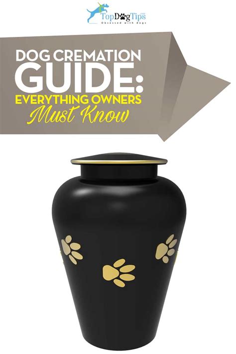 How Much To Cremate A Dog Costs Dog Cremation Guide Tips And Advice