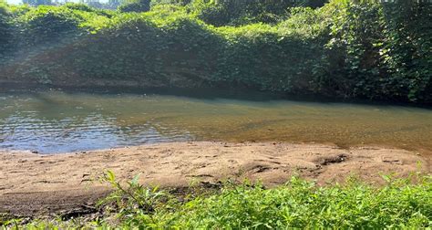 Gems In The Creek — Yadkin Riverkeeper
