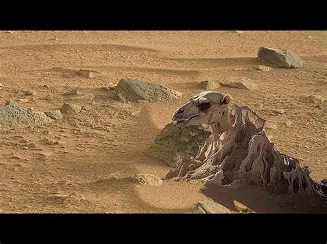 Perseverance Rover Secret Stunning 4k Video New Mars Video Footages