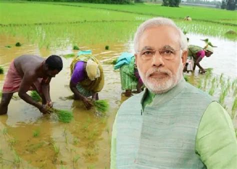 Get Benefit Of Pm Kisan Sanman Nidhi Yojana पीएम किसान सन्मान निधी