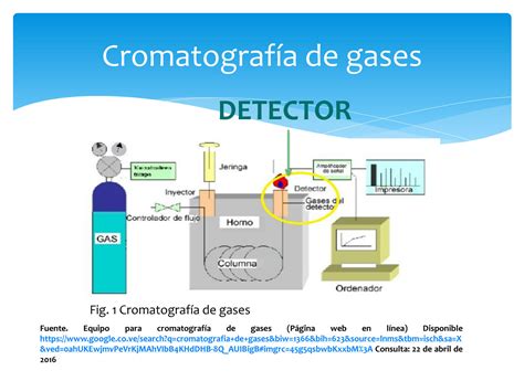 SOLUTION Detectores De Cromatografia De Gases Studypool