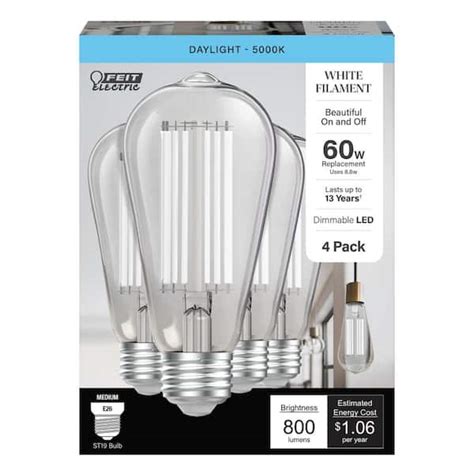 Feit Electric 60 Watt Equivalent ST19 Dimmable White Filament Clear