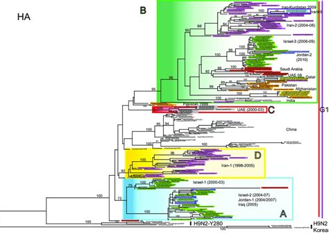 ML Phylogenetic Tree For The HA Gene Segment Of H9N2 Avian Influenza