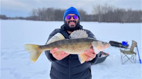 Catch More Fish This Winter Double Hook Minnows For Walleye Pike And