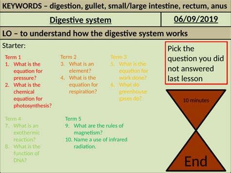 Digestive System Ks3 Teaching Resources