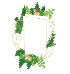 Geometric Botanical Design Frame Royalty Free Vector Image