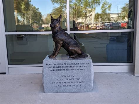 Statue Honoring Honey” And All Service Dogs Unveiled Outside Uf Small