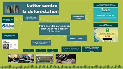 Lutter Contre La D Forestation Notre Casa