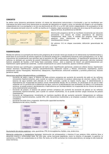 Resumen Cap Tulo Enfermedad Renal Cr Nica Medicina Interna Farreras