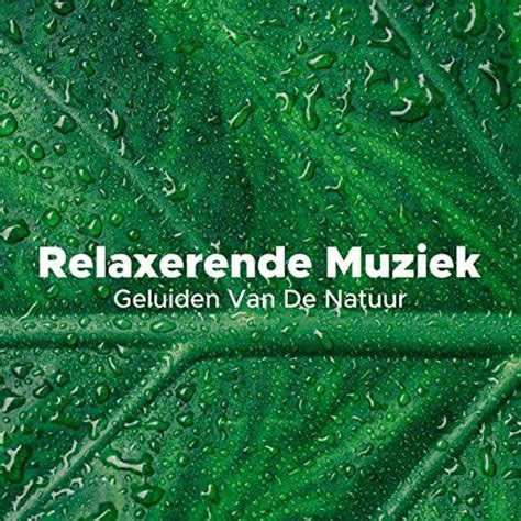 Play Relaxerende Muziek Geluiden Van De Natuur By Rustgevende Muziek