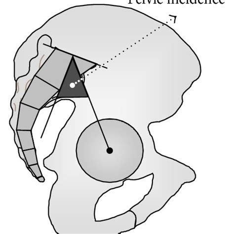 The Angular Pelvic Morphological Parameters The Pelvic Incidence Pi