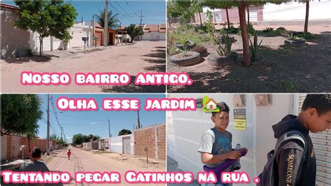 tour pelo meu bairro muitas árvores e animais bairro antigo de