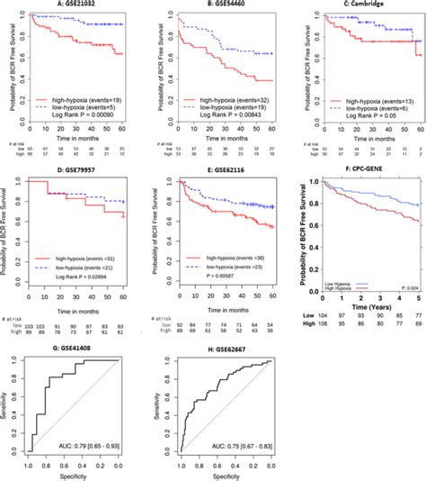 Development And Validation Of A 28 Gene Hypoxia Related Prognostic