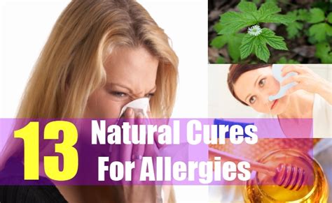 13 Natural Cures For Allergies How To Cure Allergies Naturally