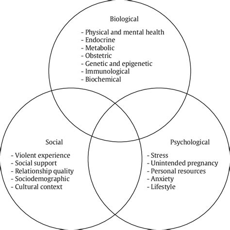 The Biopsychosocial Model Of Peripartum Depression Based On Engel S