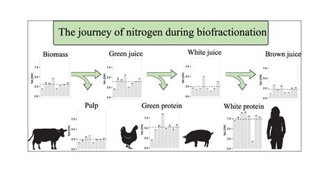 Protein Fractionation Of Leafy Green Biomass At The Pilot Scale