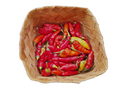 Red Hot Chili Pepper Close Up Transparent Background Red Chilies In The Kitchen For Cooking