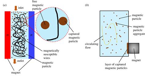 Figure 3 From Working Principle And Application Of Magnetic Separation