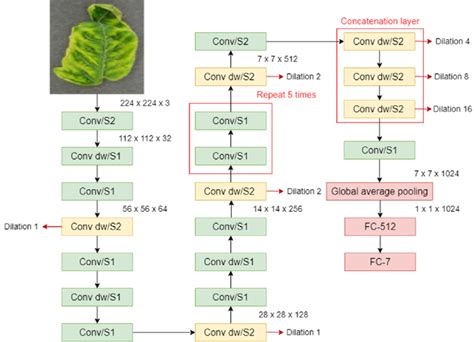 An Illustration Of Mobilenet Architecture To Identify And Classify