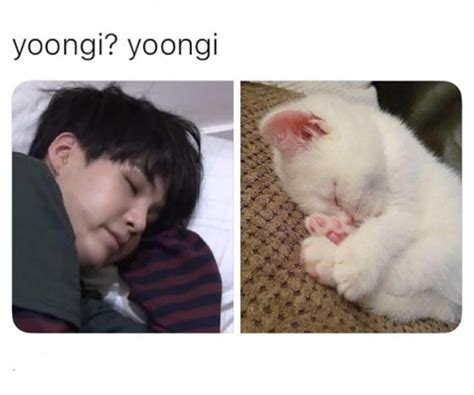 Minyoongi Yoongi Suga Cat Kitten Bts Bangtan Cute Yoongicute