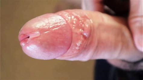 Free Gay Pregnant Porn Videos Xhamster