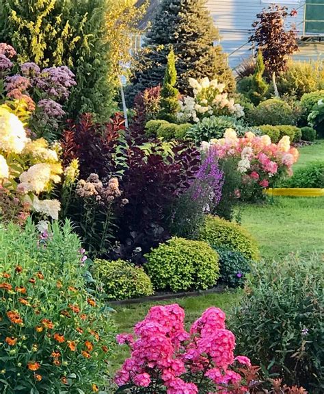 Роскошные цветы и стильные сочетания растений в саду у Ольги ...