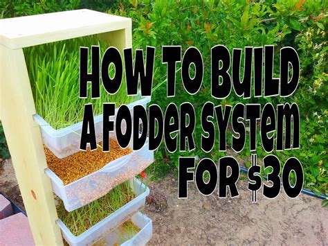 Build Your Own Fodder System